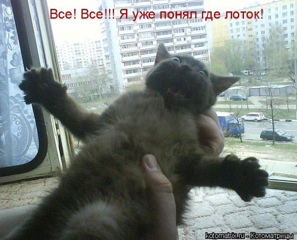 http://cs9569.vkontakte.ru/u43692401/101261245/x_88df4351.jpg
