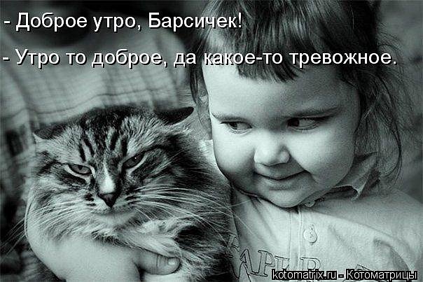 http://cs9569.vkontakte.ru/u43692401/101261245/x_b2a40f2c.jpg